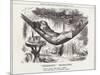 Disraeli, Hammock, Rest-John Tenniel-Mounted Art Print