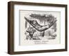 Disraeli, Hammock, Rest-John Tenniel-Framed Art Print