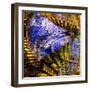 Disruption-Janet Slater-Framed Photographic Print