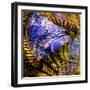 Disruption-Janet Slater-Framed Photographic Print