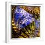 Disruption-Janet Slater-Framed Photographic Print