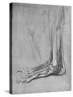 'Dissection of a Bear's Foot to the Left', c1480 (1945)-Leonardo Da Vinci-Stretched Canvas