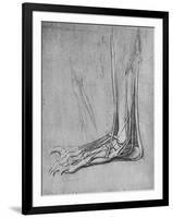 'Dissection of a Bear's Foot to the Left', c1480 (1945)-Leonardo Da Vinci-Framed Giclee Print