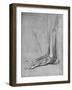 'Dissection of a Bear's Foot to the Left', c1480 (1945)-Leonardo Da Vinci-Framed Giclee Print