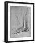 'Dissection of a Bear's Foot to the Left', c1480 (1945)-Leonardo Da Vinci-Framed Giclee Print