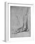 'Dissection of a Bear's Foot to the Left', c1480 (1945)-Leonardo Da Vinci-Framed Giclee Print