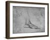 'Dissection of a Bear's Foot to the Right', c1480 (1945)-Leonardo Da Vinci-Framed Giclee Print