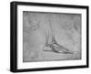 'Dissection of a Bear's Foot to the Right', c1480 (1945)-Leonardo Da Vinci-Framed Giclee Print