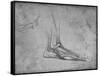 'Dissection of a Bear's Foot to the Right', c1480 (1945)-Leonardo Da Vinci-Framed Stretched Canvas