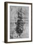 'Dissection of the Principal Organs of a Woman', c1480 (1945)-Leonardo Da Vinci-Framed Giclee Print