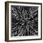 Dissolution-Nathan Richard Phelps-Framed Art Print