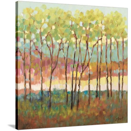 Distant Color-Libby Smart-Stretched Canvas