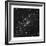 Distant Galaxies-Contemporary Photography-Framed Giclee Print