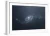 Distant Galaxy Visible from Space Station Sent in Outer Space-Stocktrek Images-Framed Premium Giclee Print