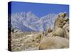 Distant Granite Peaks of Mount Whitney (4416M), Sierra Nevada, California, USA-Anthony Waltham-Stretched Canvas