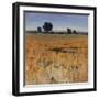 Distant Havenfield-Tim O'toole-Framed Giclee Print