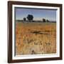 Distant Havenfield-Tim O'toole-Framed Giclee Print