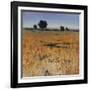 Distant Havenfield-Tim O'toole-Framed Giclee Print