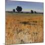 Distant Havenfield-Tim O'toole-Mounted Giclee Print