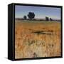 Distant Havenfield-Tim O'toole-Framed Stretched Canvas