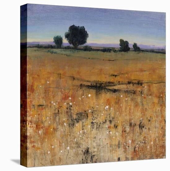 Distant Havenfield-Tim O'toole-Stretched Canvas