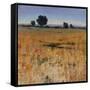 Distant Havenfield-Tim O'toole-Framed Stretched Canvas