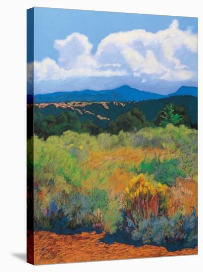 Distant Hills-Mary Silverwood-Stretched Canvas