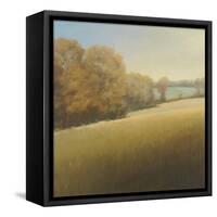 Distant Lake-Stephen Bach-Framed Stretched Canvas