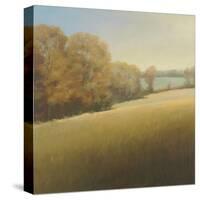 Distant Lake-Stephen Bach-Stretched Canvas