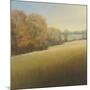 Distant Lake-Stephen Bach-Mounted Art Print