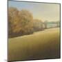 Distant Lake-Stephen Bach-Mounted Art Print