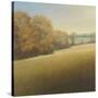 Distant Lake-Stephen Bach-Stretched Canvas