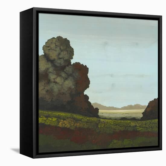 Distant Meadow I-Robert Charon-Framed Stretched Canvas