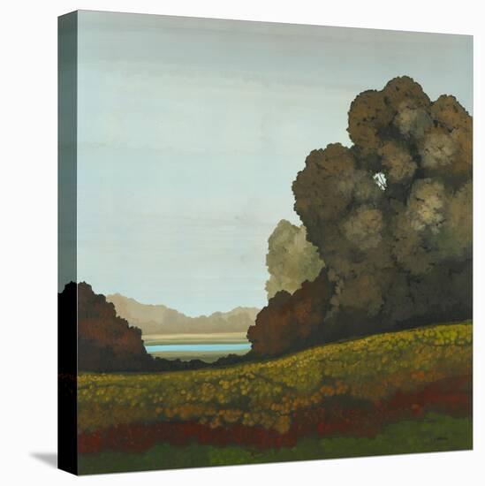 Distant Meadow II-Robert Charon-Stretched Canvas