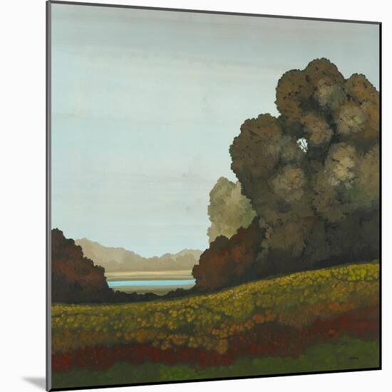 Distant Meadow II-Robert Charon-Mounted Art Print