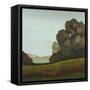 Distant Meadow II-Robert Charon-Framed Stretched Canvas