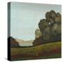 Distant Meadow II-Robert Charon-Stretched Canvas