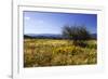 Distant Mountains 3-Alan Hausenflock-Framed Photographic Print
