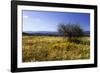 Distant Mountains 3-Alan Hausenflock-Framed Photographic Print