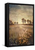 Distant Season-Michael Marcon-Framed Stretched Canvas