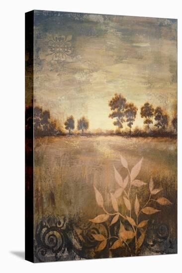 Distant Season-Michael Marcon-Stretched Canvas