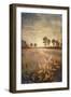 Distant Season-Michael Marcon-Framed Art Print