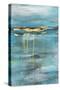 Distant Shores II-Joyce Combs-Stretched Canvas