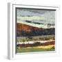 Distant Storm-Linda Nickell-Framed Art Print