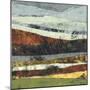 Distant Storm-Linda Nickell-Mounted Art Print