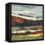 Distant Storm-Linda Nickell-Framed Stretched Canvas