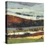 Distant Storm-Linda Nickell-Stretched Canvas