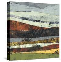 Distant Storm-Linda Nickell-Stretched Canvas