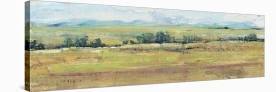 Distant Treeline Panel II-Tim OToole-Stretched Canvas