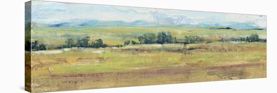 Distant Treeline Panel II-Tim OToole-Stretched Canvas